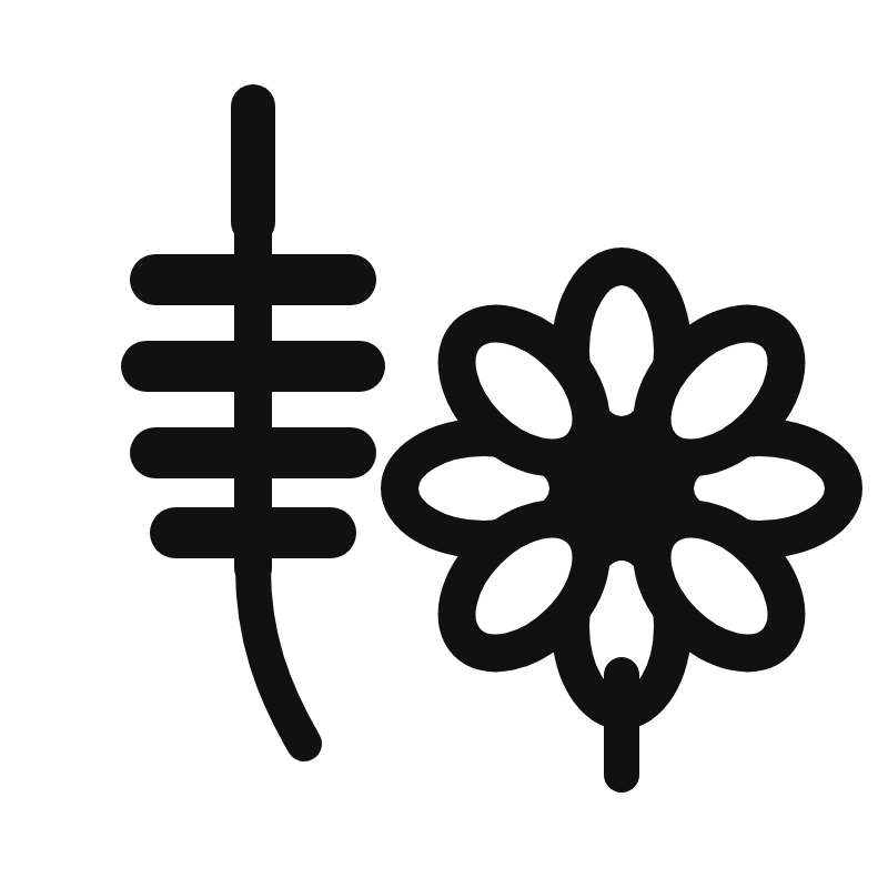 Honung-kamomill